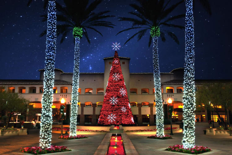 Christmas at the Princess